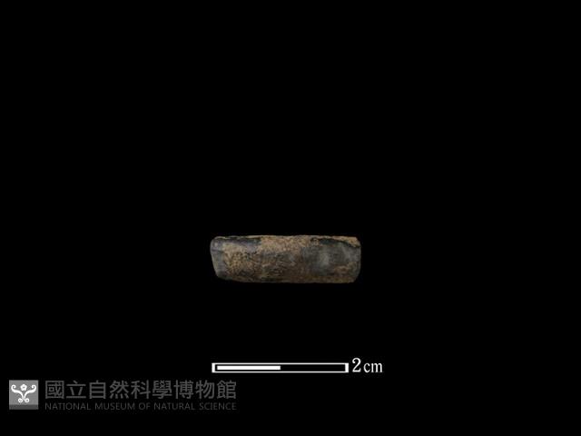 陶環藏品圖，第1張