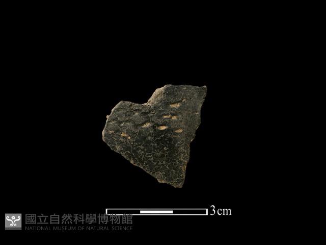 陶片藏品圖，第1張
