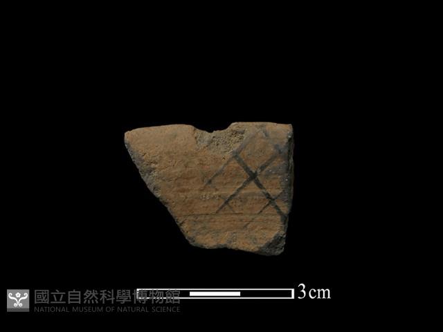 陶片藏品圖，第1張