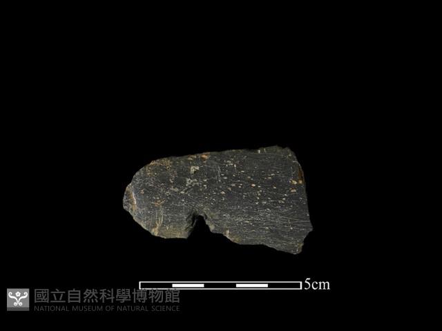 戈形器藏品圖，第1張