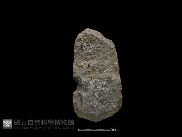 斧鋤形器藏品圖，第2張