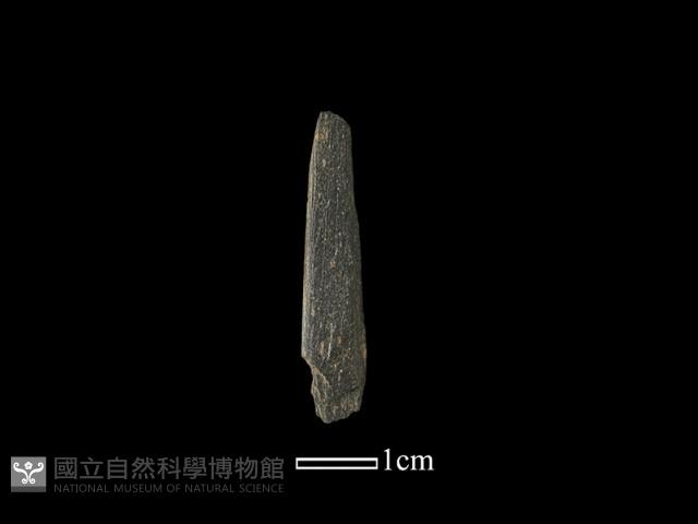 帶加工痕石材藏品圖，第2張
