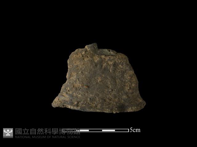 陶片藏品圖，第1張