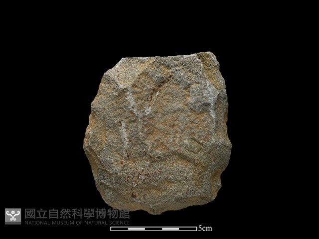 斧鋤形器藏品圖，第1張