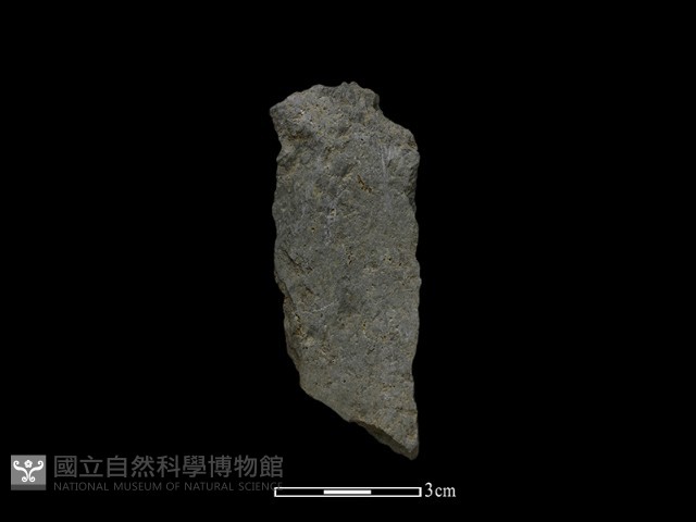 斧鋤形器藏品圖，第2張