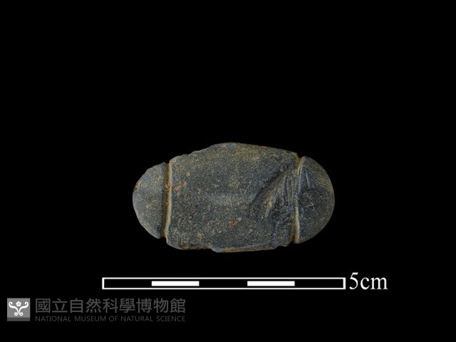 網墜藏品圖，第2張