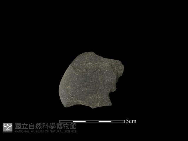 石鏟藏品圖，第1張