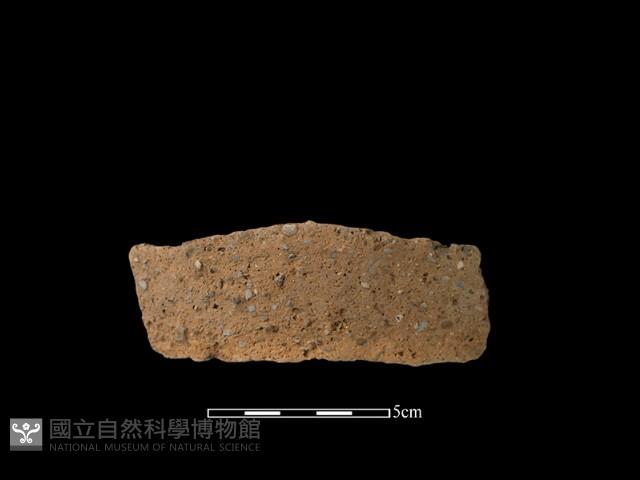 陶片藏品圖，第2張