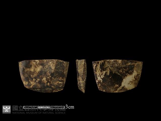 錛鑿形器藏品圖，第1張