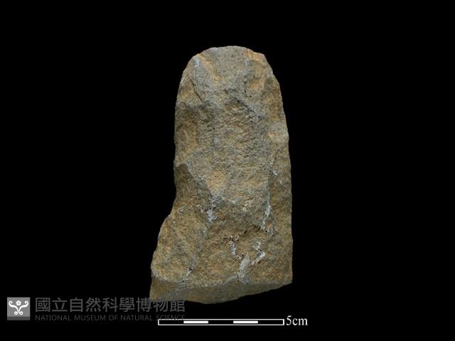 斧鋤形器藏品圖，第2張