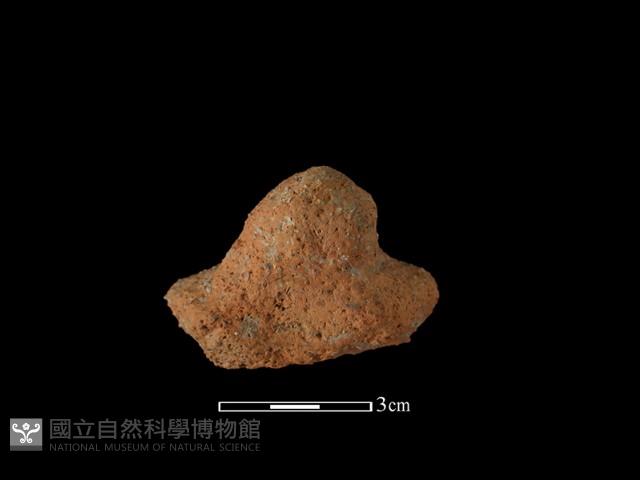 陶蓋鈕藏品圖，第2張