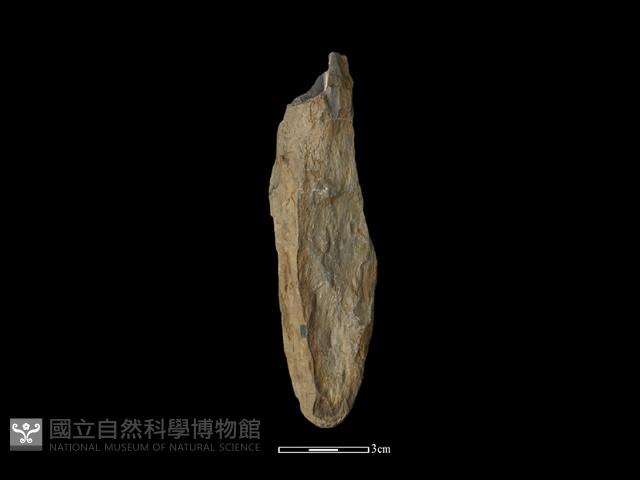 間接打擊棒藏品圖，第1張