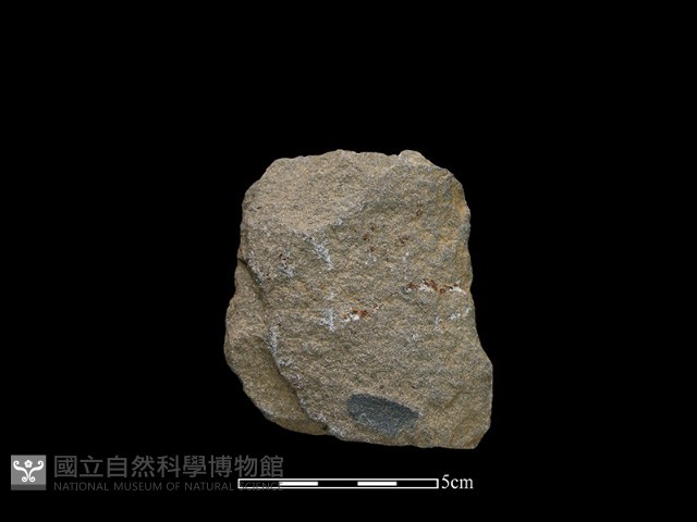 斧鋤形器藏品圖，第1張