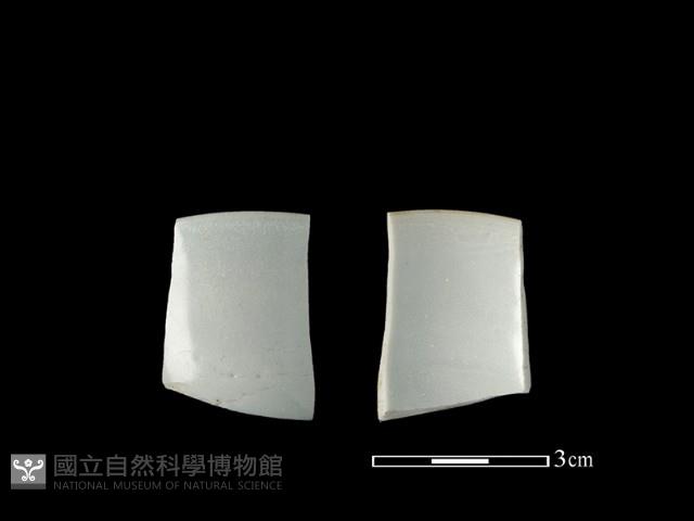 瓷杯藏品圖，第1張