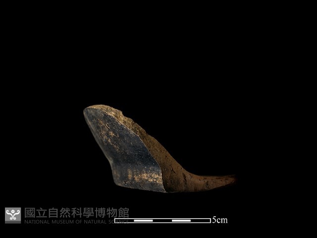 陶片藏品圖，第2張