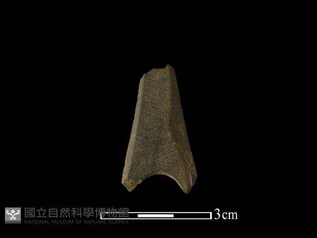 矛鏃形器藏品圖，第1張