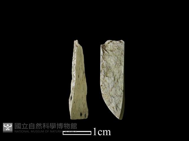 錛鑿形器藏品圖，第1張