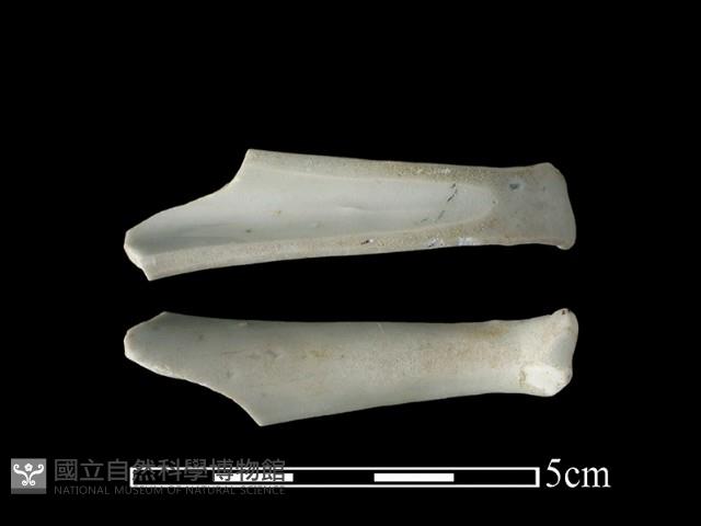 湯匙藏品圖，第1張