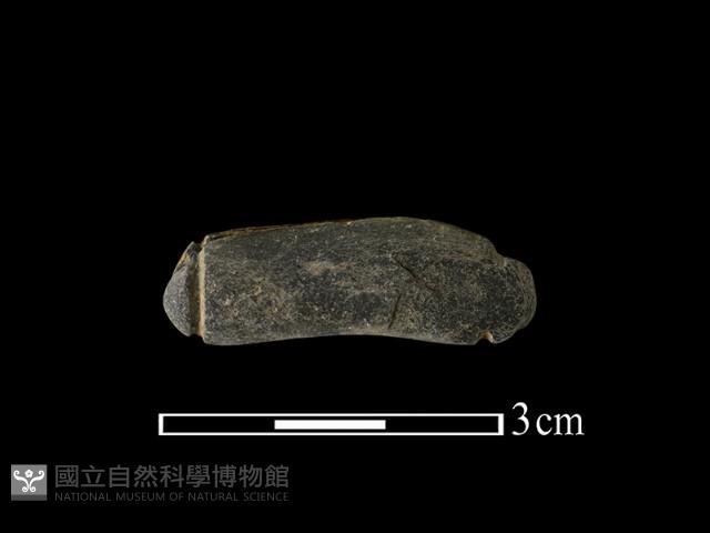 網墜藏品圖，第1張