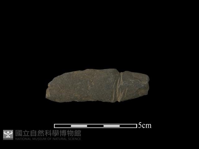 網墜藏品圖，第1張