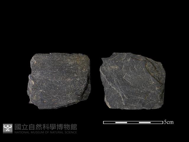 戈形器藏品圖，第1張