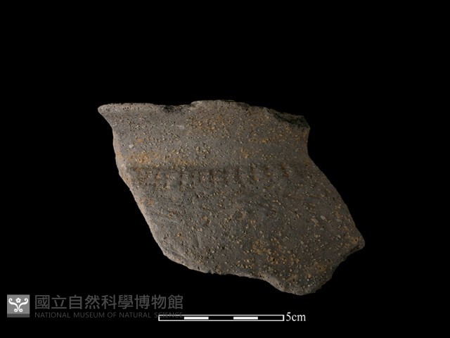 陶片藏品圖，第2張