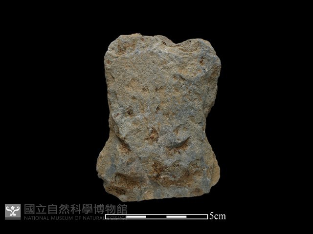 斧鋤形器藏品圖，第2張