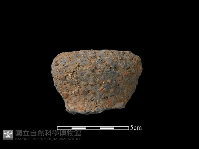 陶片藏品圖，第2張