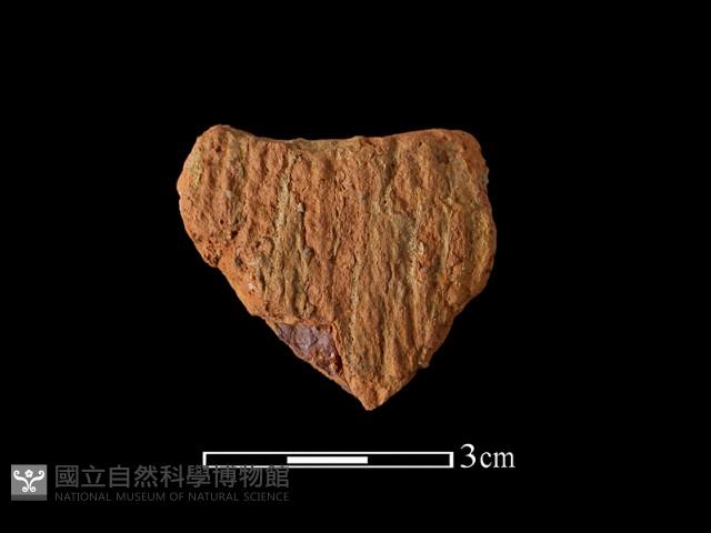 陶片藏品圖，第1張