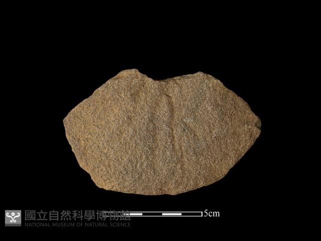 石片器藏品圖，第1張