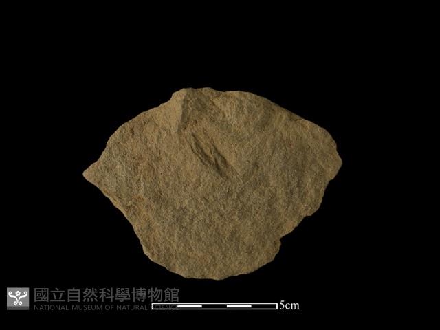 石片器藏品圖，第2張