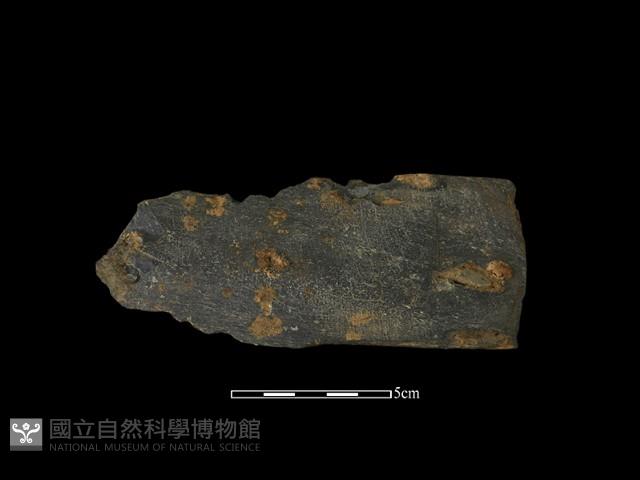 戈形器藏品圖，第1張