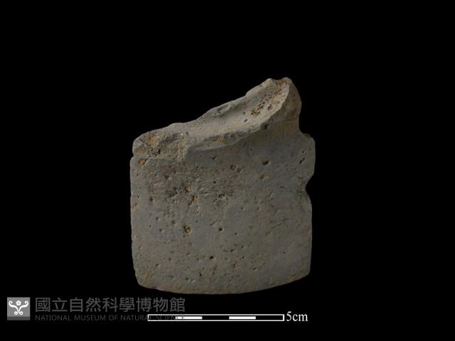 陶片藏品圖，第1張
