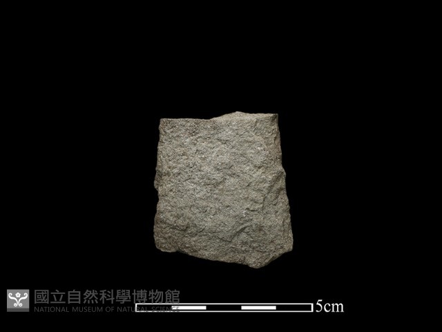 打製石器藏品圖，第1張