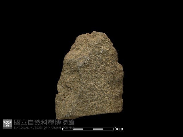 斧鋤形器藏品圖，第2張
