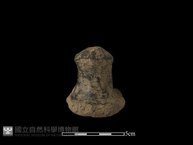 陶蓋鈕藏品圖，第1張