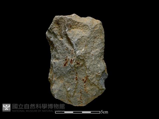 斧鋤形器藏品圖，第1張