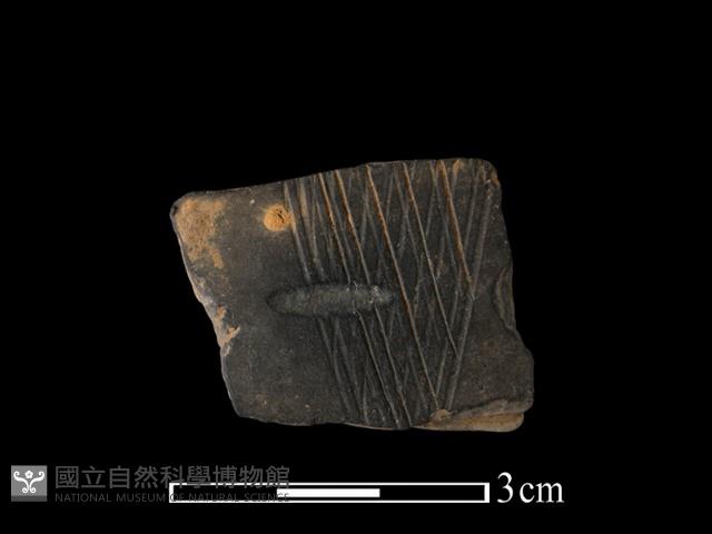 陶片藏品圖，第1張