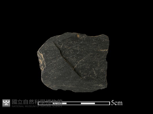 帶加工痕石材藏品圖，第1張