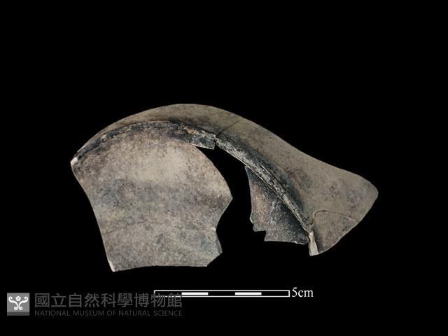 陶壺藏品圖，第1張