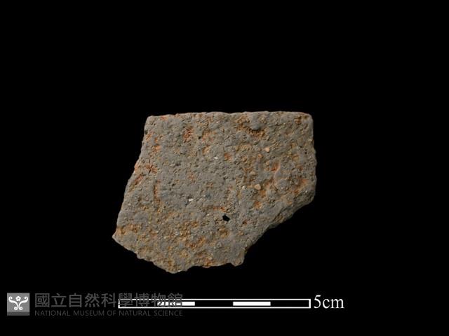 陶片藏品圖，第1張