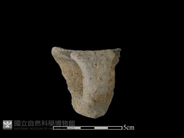 陶耳藏品圖，第2張