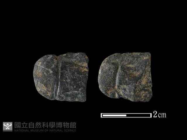 網墜藏品圖，第1張