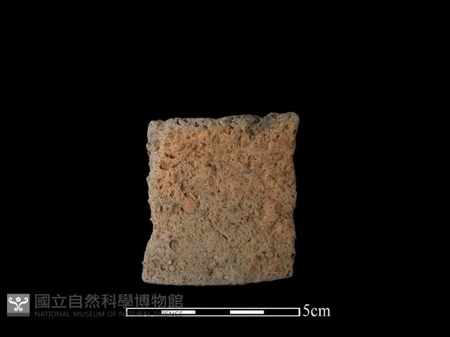 陶片藏品圖，第2張