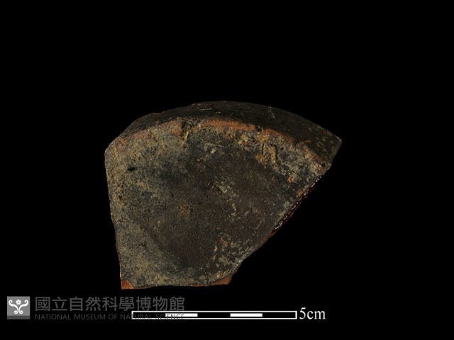陶片藏品圖，第2張
