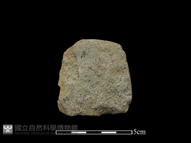 斧鋤形器藏品圖，第2張