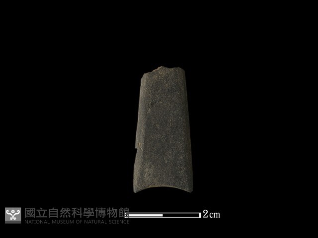 矛鏃形器藏品圖，第2張