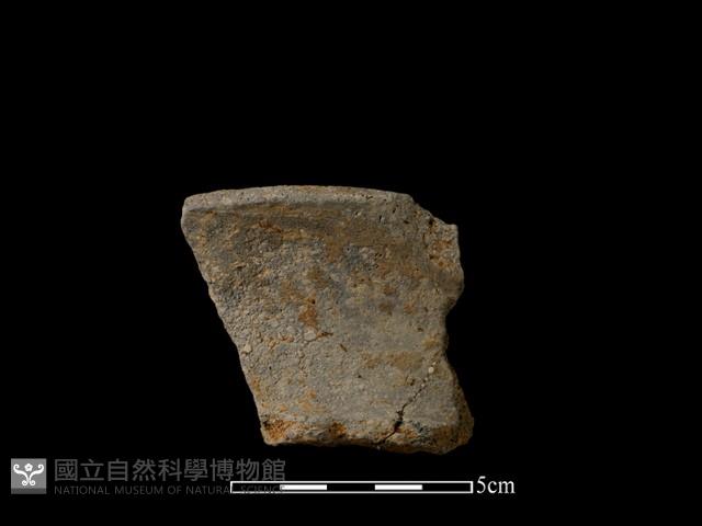 陶片藏品圖，第2張