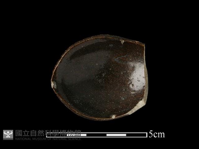 湯匙藏品圖，第2張