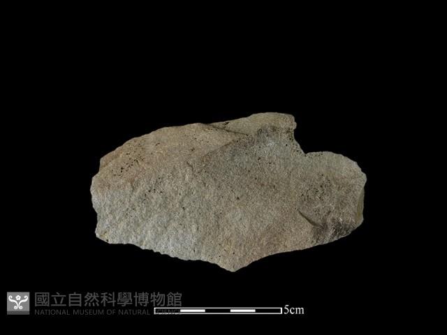 石片藏品圖，第2張